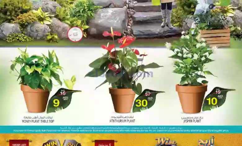عروض سفاري الامارات|حتى 11-10-2023|أخضر el3rod.com00001-292