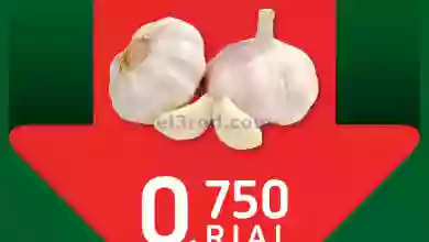 el3rod.com00001-354