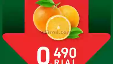 el3rod.com00001-50