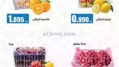 el3rod.com00001-509