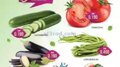 el3rod.com00001-521