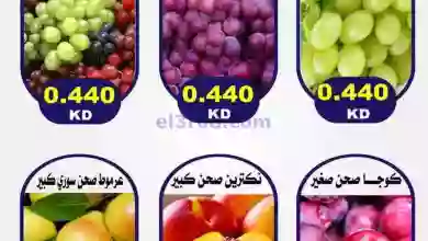 el3rod.com00001-568
