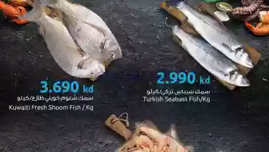 عروض سلطان الجملة الكويت|14-10-2023|أكلات بحرية el3rod.com00001-607