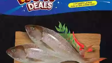 el3rod.com00001-641