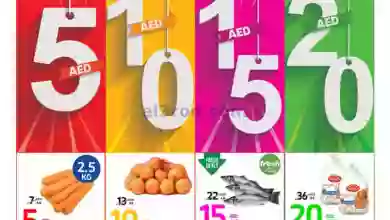 el3rod.com00001-759