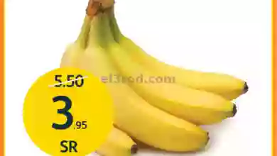 el3rod.com00001-797
