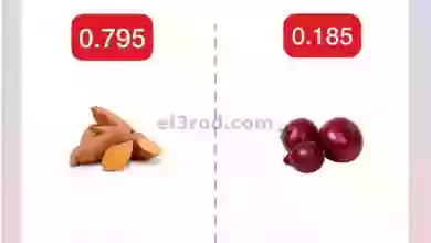 el3rod.com00001-81