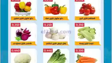 el3rod.com00001-894