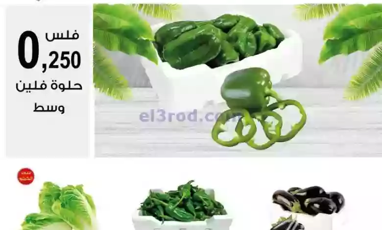 el3rod.com00001-900