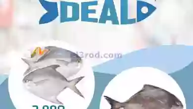 عروض جراند هايبر حولي الكويت|22 حتى 23-10-2023 el3rod.com00001-935