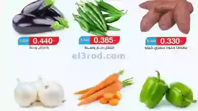 el3rod.com00002-301