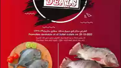 el3rod.com00003-946