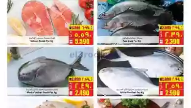 el3rod.com00004-45