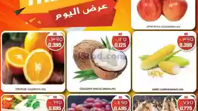 el3rod.com00004-875