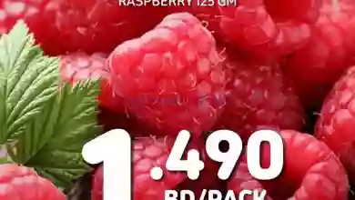 el3rod.com00016-310