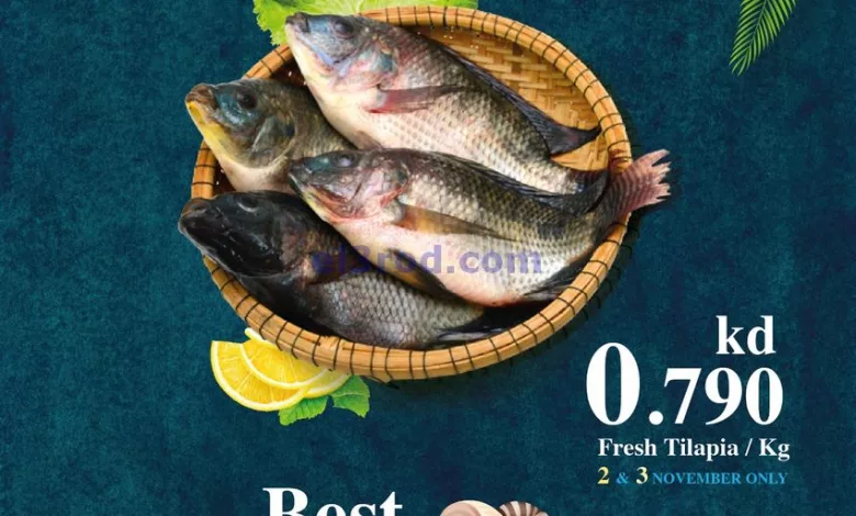 el3rod.com00001-117