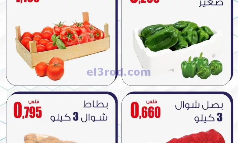 el3rod.com00001-1254