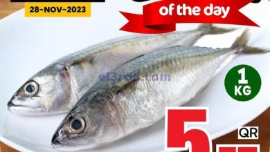 el3rod.com00001-1395