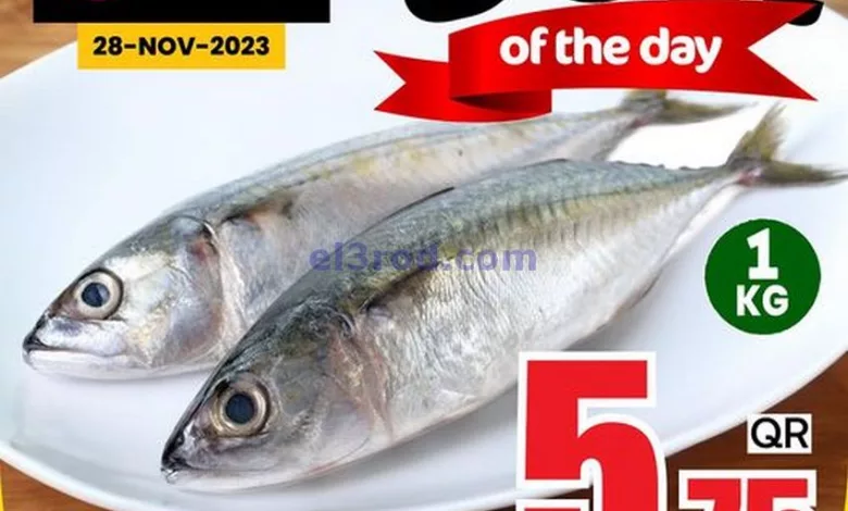 el3rod.com00001-1395