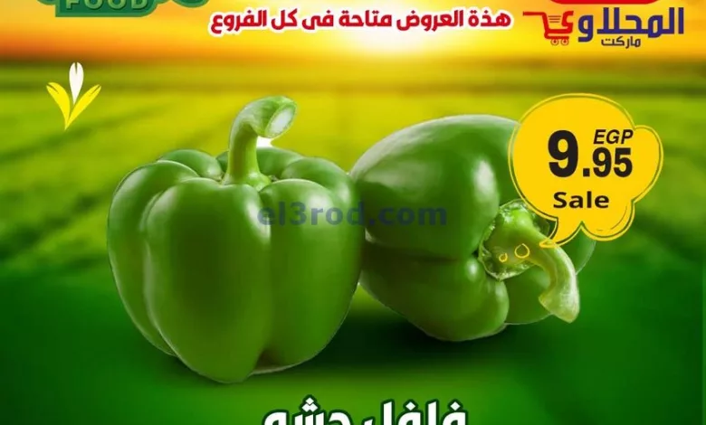 عروض المحلاوى هايبرماركت مصر|30-11 حتى 2-12-2023 el3rod.com00001-1513