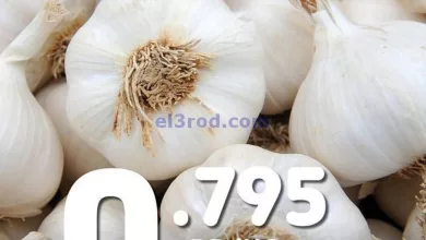 el3rod.com00001-1537