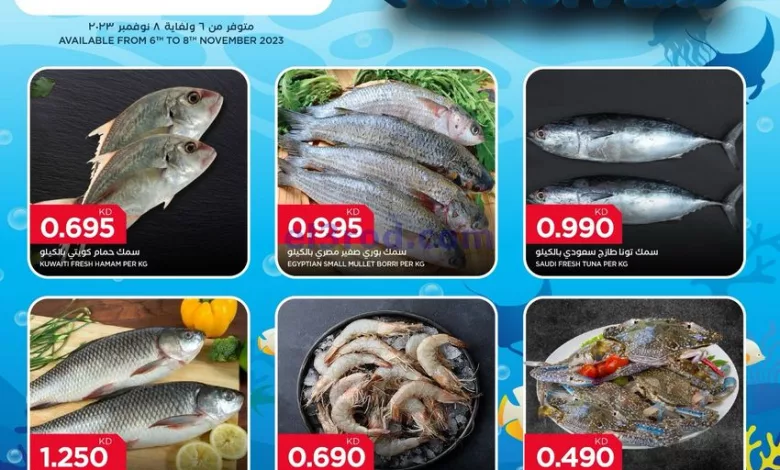 el3rod.com00001-284