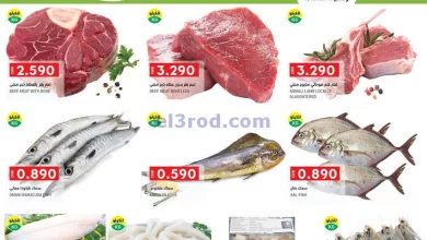 el3rod.com00001-299