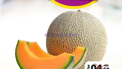 el3rod.com00001-405