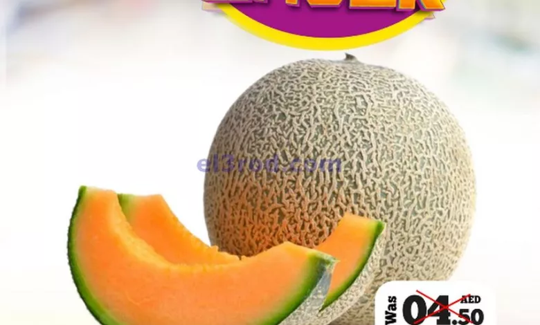el3rod.com00001-405
