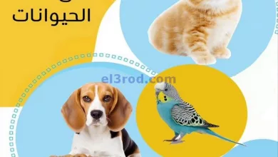 عروض جمعية الصديق التعاونية|9 حتى 15-11-2023 el3rod.com00001-436