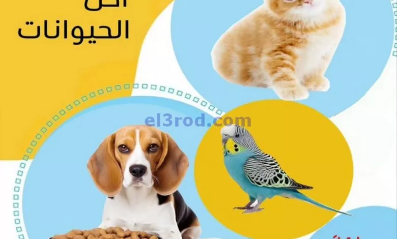 el3rod.com00001-436