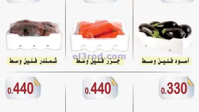 el3rod.com00001-446