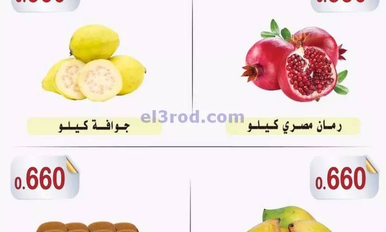 el3rod.com00001-621