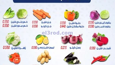el3rod.com00001-624