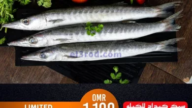 el3rod.com00001-648