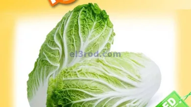 el3rod.com00001-651