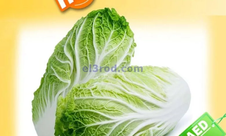 el3rod.com00001-651