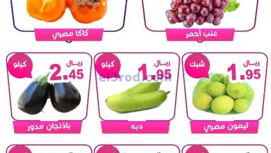 el3rod.com00002-486