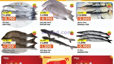 el3rod.com00001-1006