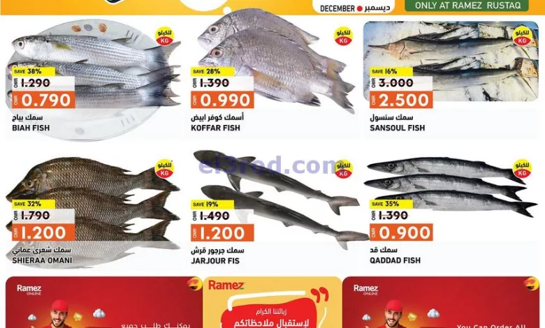 el3rod.com00001-1006