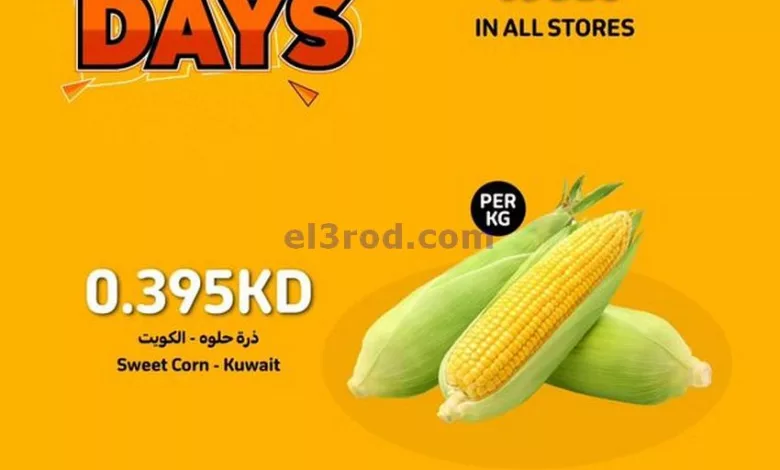 el3rod.com00001-110