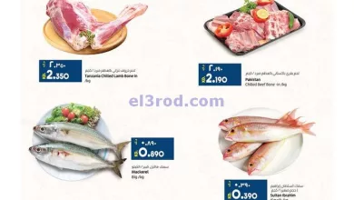 el3rod.com00001-1240