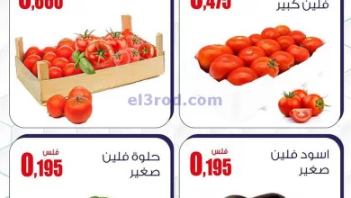el3rod.com00001-1331