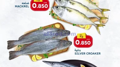 el3rod.com00001-1368