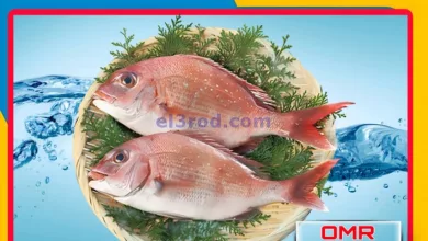 el3rod.com00001-1557