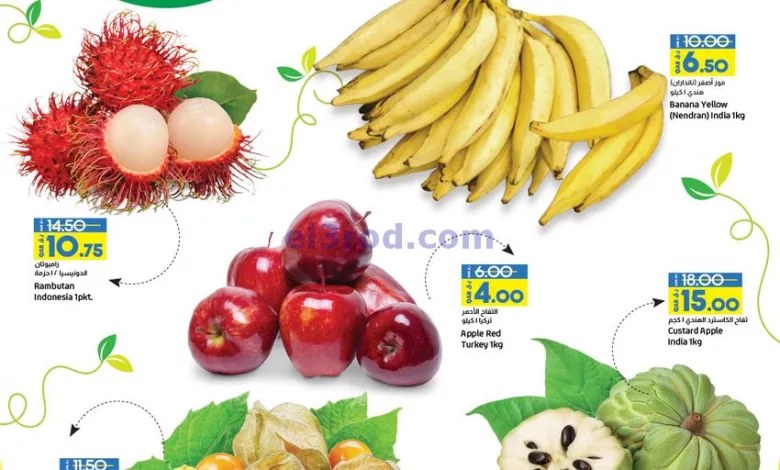 el3rod.com00001-1585