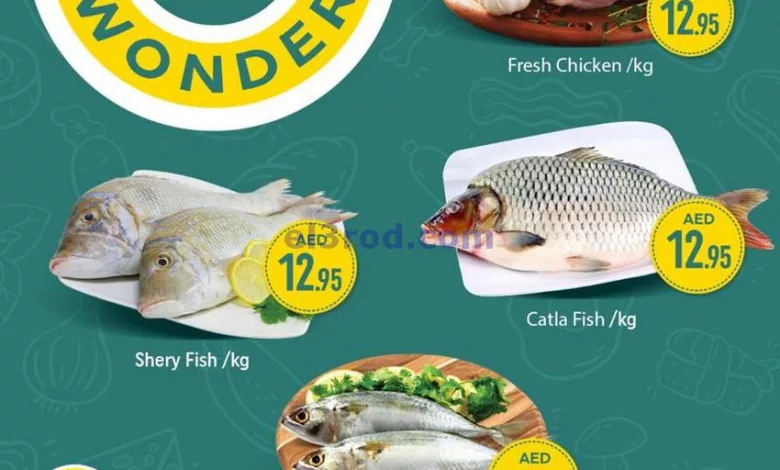el3rod.com00001-1589