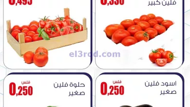 el3rod.com00001-1702
