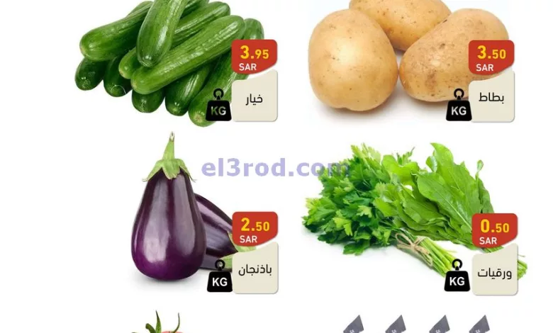 el3rod.com00001-25