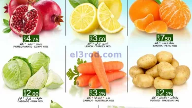 el3rod.com00001-348